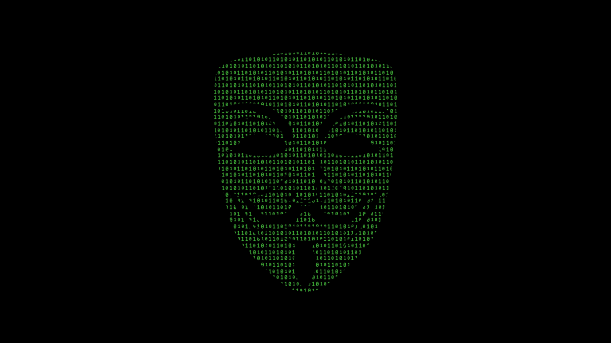Anonymous Hacker Binary