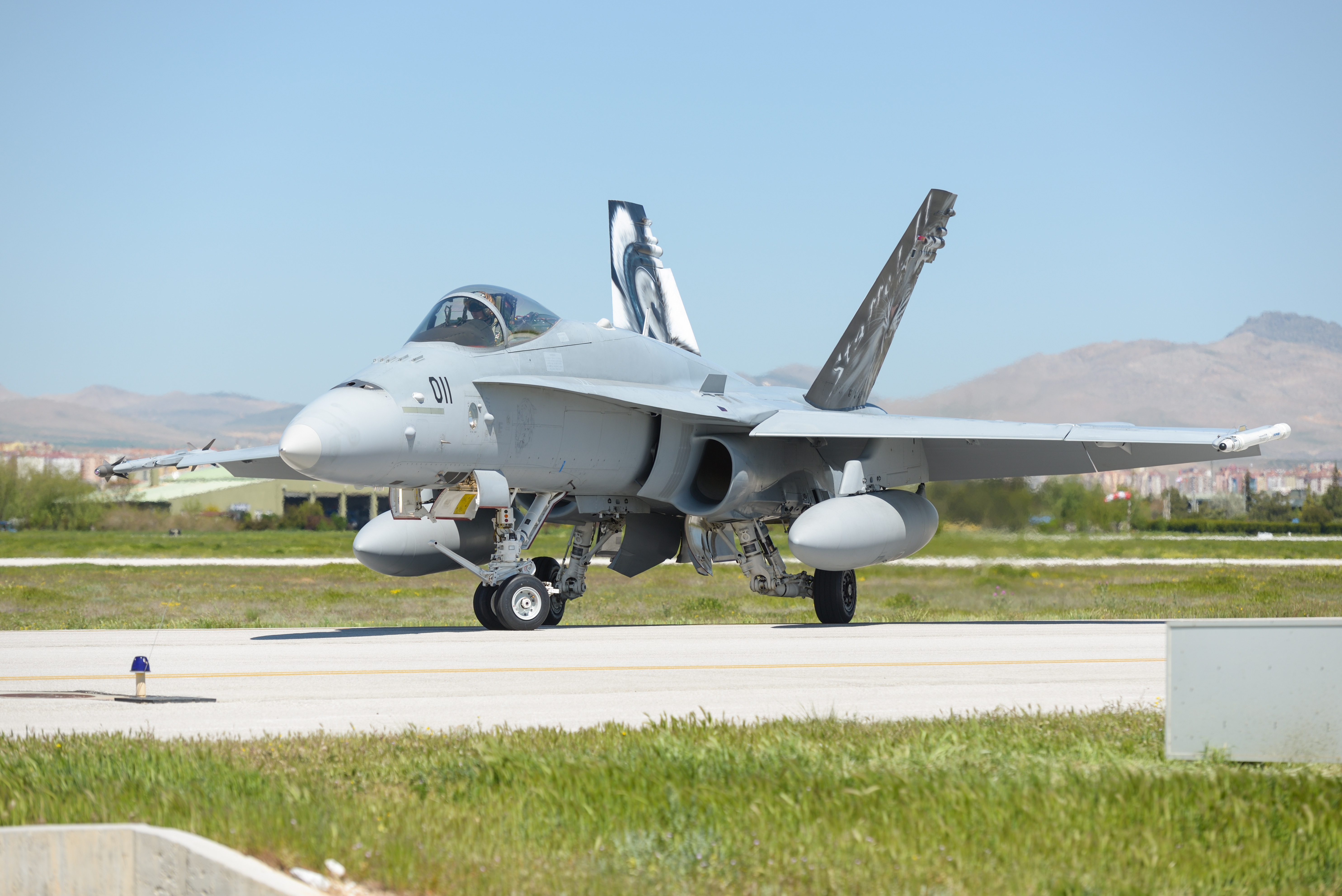 F A 18 Hornet истребитель 2