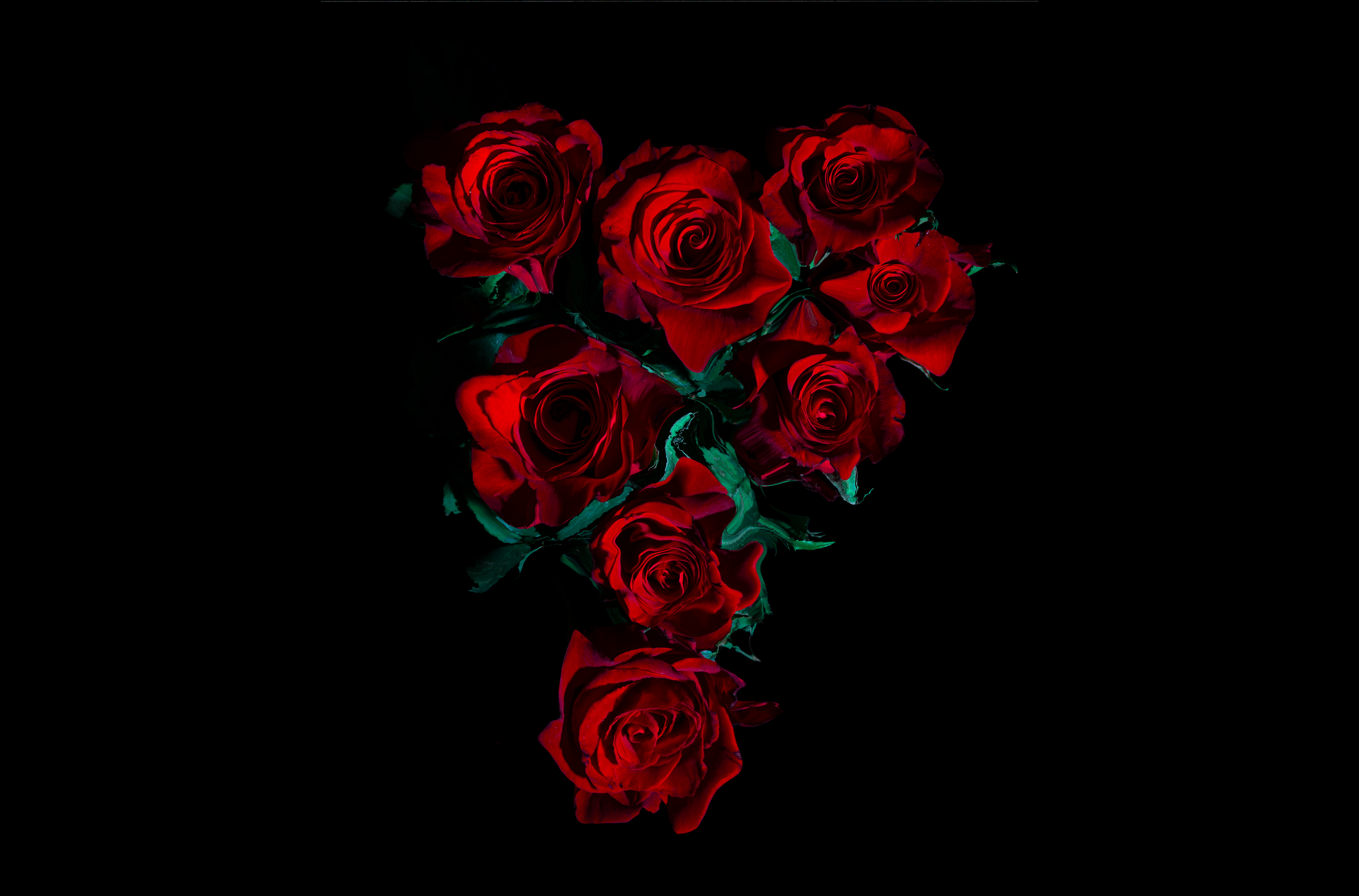 Красные розы AMOLED