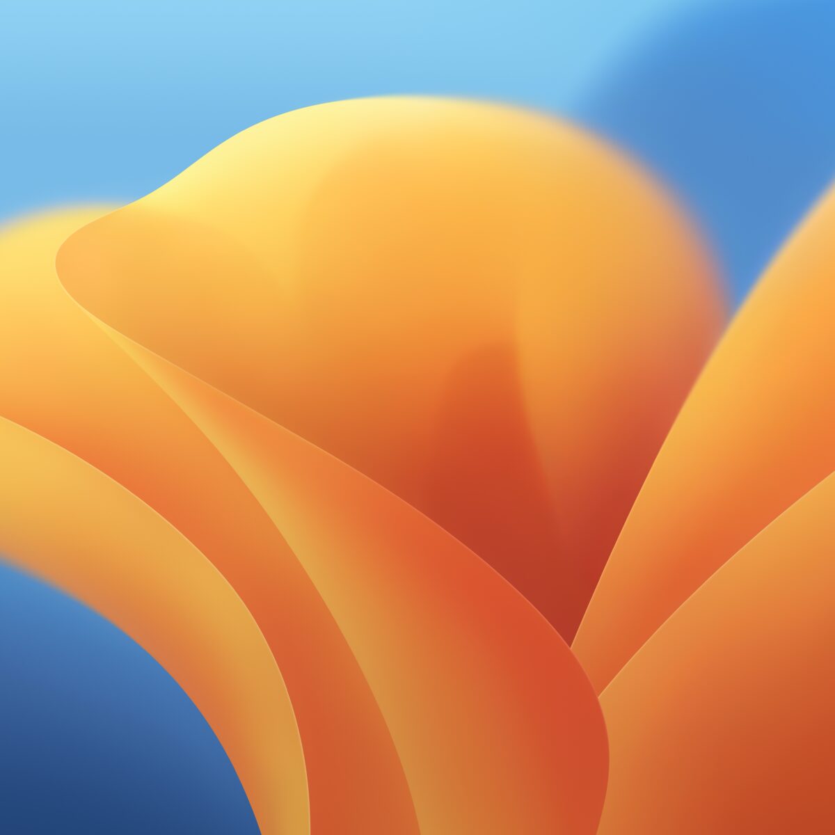 macOS 13 macOS Ventura