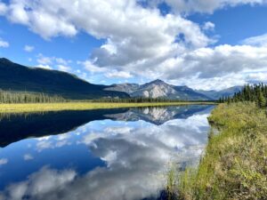Отражение белых облаков в речной воде