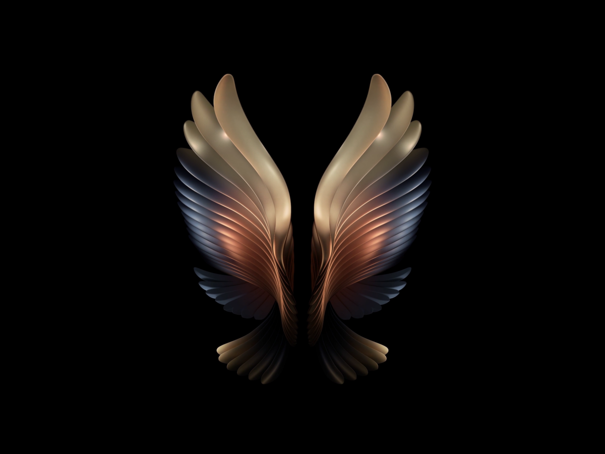 Samsung Galaxy W21 Samsung Galaxy Fold