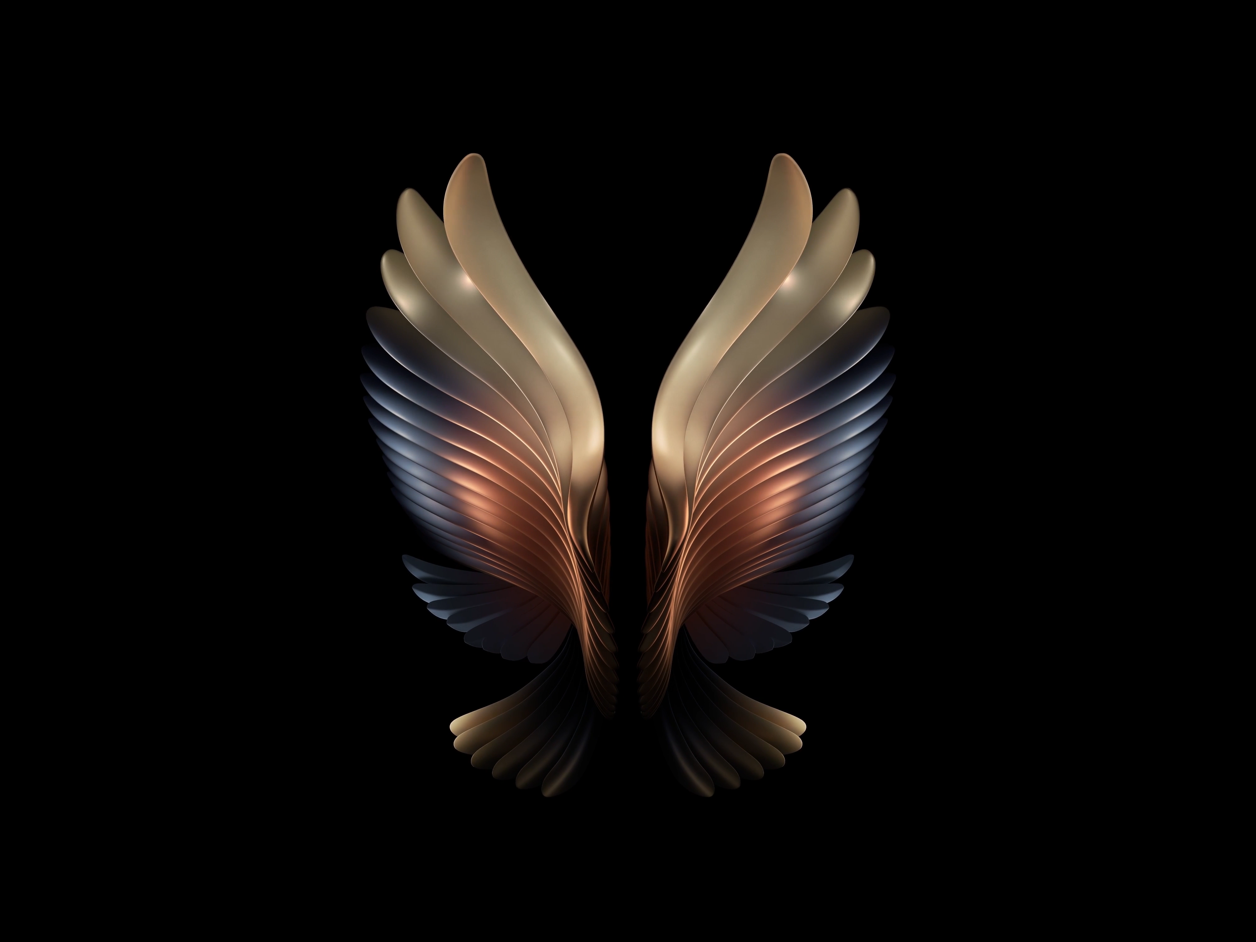 Samsung Galaxy W21 Samsung Galaxy Fold