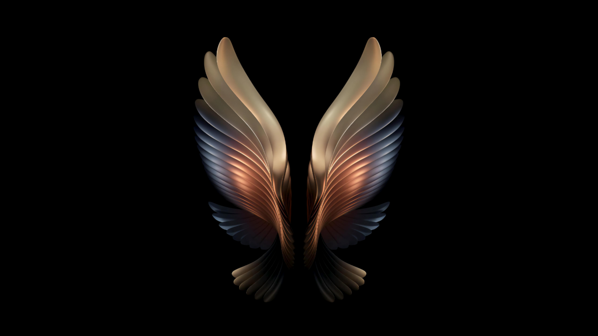 Samsung Galaxy W22 Wings