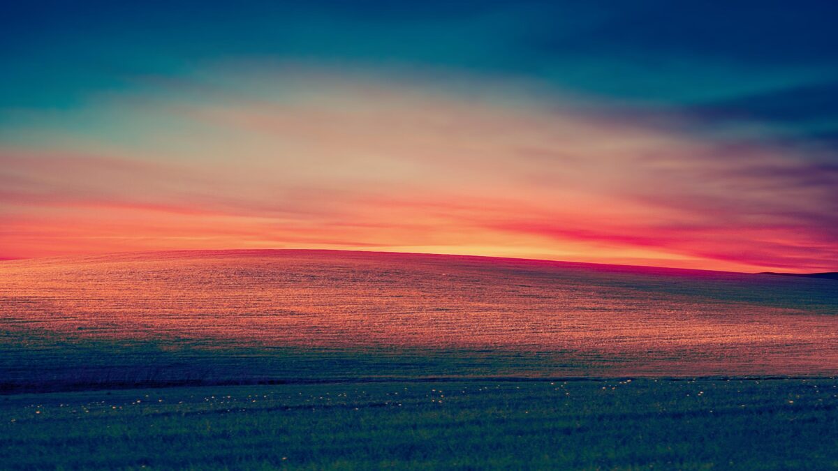 Windows XP