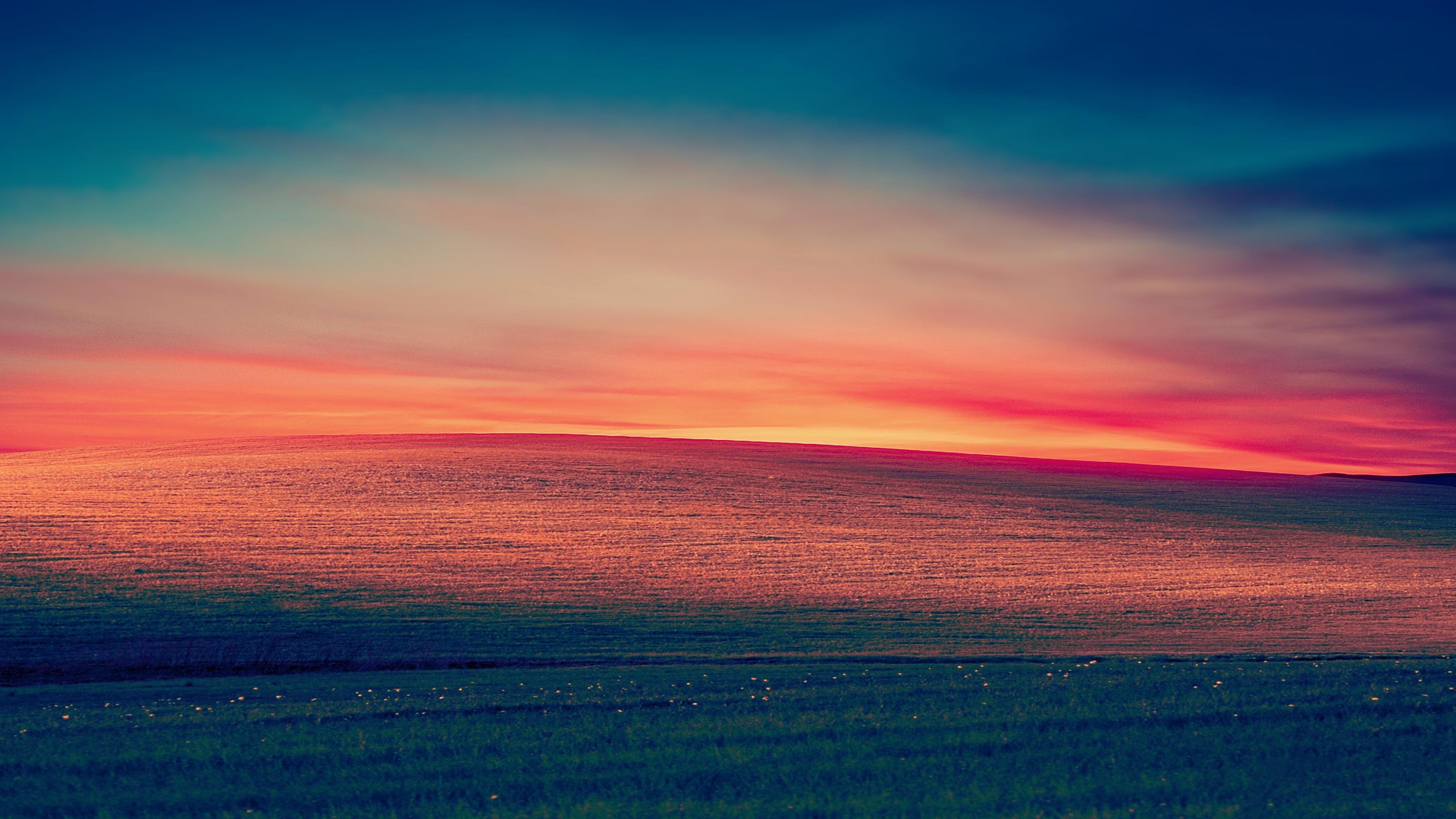Windows XP