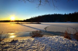 Замерзшая лесная река под солнцем